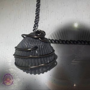 Black Scallop Shell Necklace